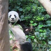 動物園とセットで