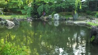 池の水面に木々が映り込んで美しい