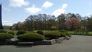 札幌近郊で手軽に自然散策を楽しめる公園