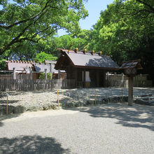 非常な神秘を感じます