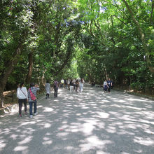 木漏れ日の射す「本宮」への参道、玉砂利の音が良いですね