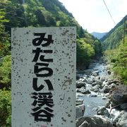 吊り橋に見えない吊り橋