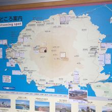 展示物こんなん