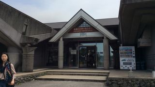 桜島大根チップスを買ったところ