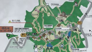 緑豊かな広大な公園