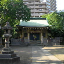 鳥居を過ぎると、左奥に白髭神社の社殿が見れます。広い境内です