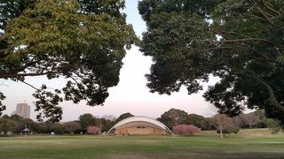 ポートタワーに隣接する緑豊かな公園