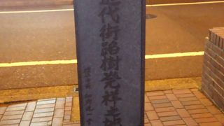 近代街路樹の先駆けとなった場所