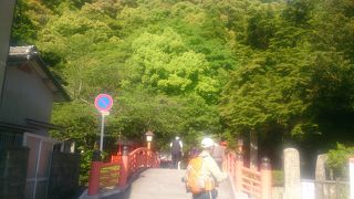 新緑の神倉神社