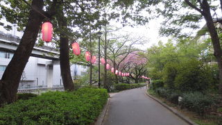神田川沿いです