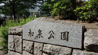 緑が多い人気の公園