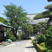 庭園が見事な曹洞宗寺院