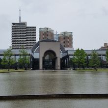 浅い池があります