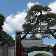 高円寺南にある日蓮宗寺院