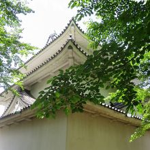 堀側から見るのと違って、あっさり顔です