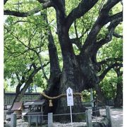 のどかな神社