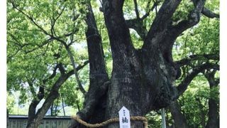 のどかな神社