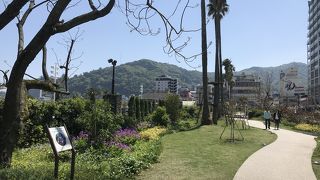 サンビーチ沿いのジャカランダ通り