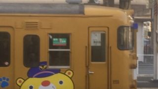 ラッピング列車