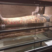 エジプトのミイラの棺