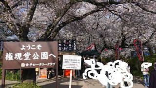 自然環境豊かな公園