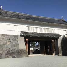 公園内