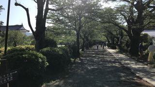 小田原城がある公園