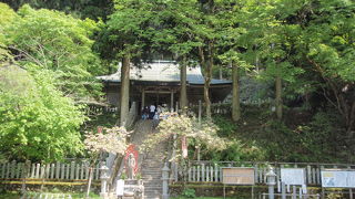 金剛山(2)下山途中転法輪寺に寄りました