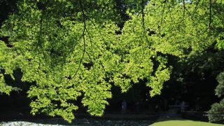 みどりの日は入園無料