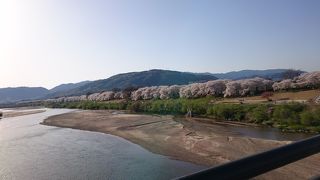 見事な桜が続く公園でのんびり桜を楽しみたい