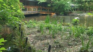 ベンチや自販機も