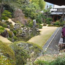 庭。ナナメ方向から。