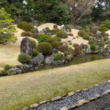 縁側から。降りられません。