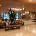 色んな設備が揃っていて那須高原での観光やビジネスに最適なホテルです!!