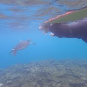 西郷どんオープン二ングのロケ地でシュノーケリング