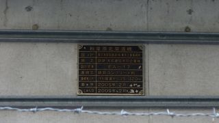 比較的新しいプレート