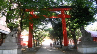 想像以上に綺麗な神社でした