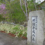 那須高原に広がる緑いっぱいの「那須平成の森」に行って来ました!!