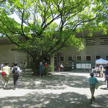 「宝物館」にやって来ました