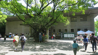 三英傑や源頼朝絡みの展示はないのかな？