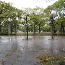公園の様子です。