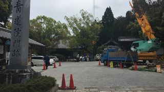 少し先にあったきれいなお庭で桜の花を見ることができました