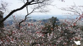 気軽にトレッキングができる