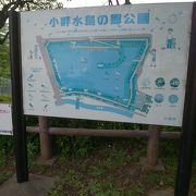 川沿いの公園