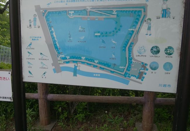 川沿いの公園