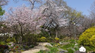 洋風のガーデンを鑑賞