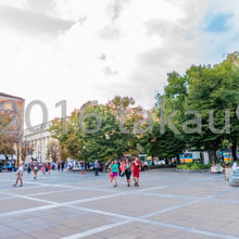 スヴェダ ネデリャ広場 