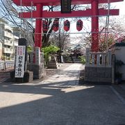 桂昌院ゆかりの神社です