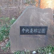 緑に囲まれた公園