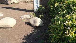 深川公園内にある石碑